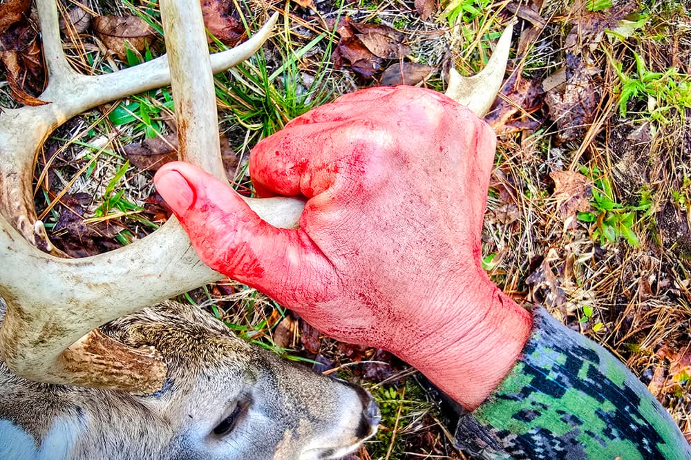 How To Overcome 5 Early-Season Whitetail Hunting Mistakes