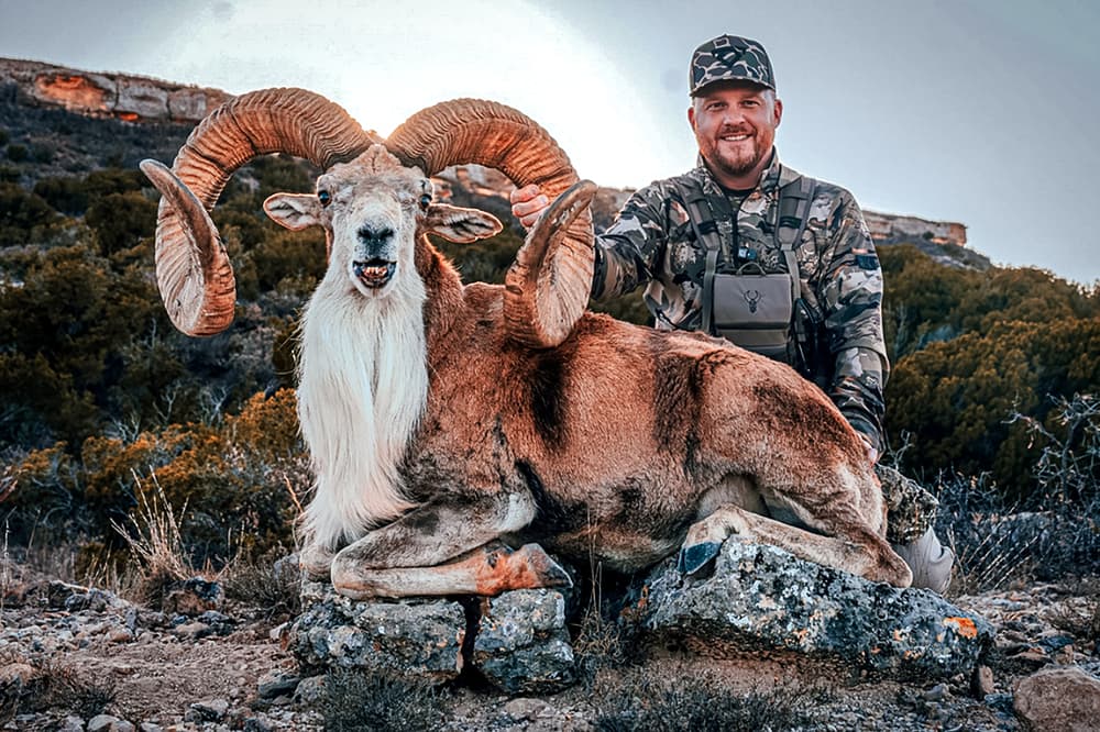 Did Cody Johnson Shoot an SCI World Record Ram in Texas?