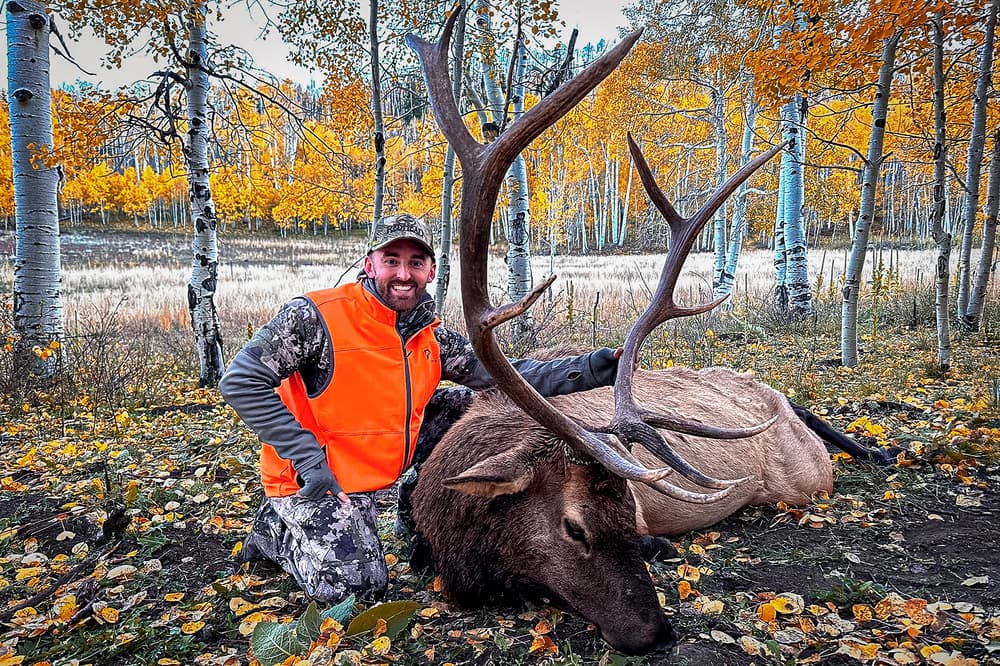 Riding Shotgun With No. 3 NASCAR Driver Austin Dillon