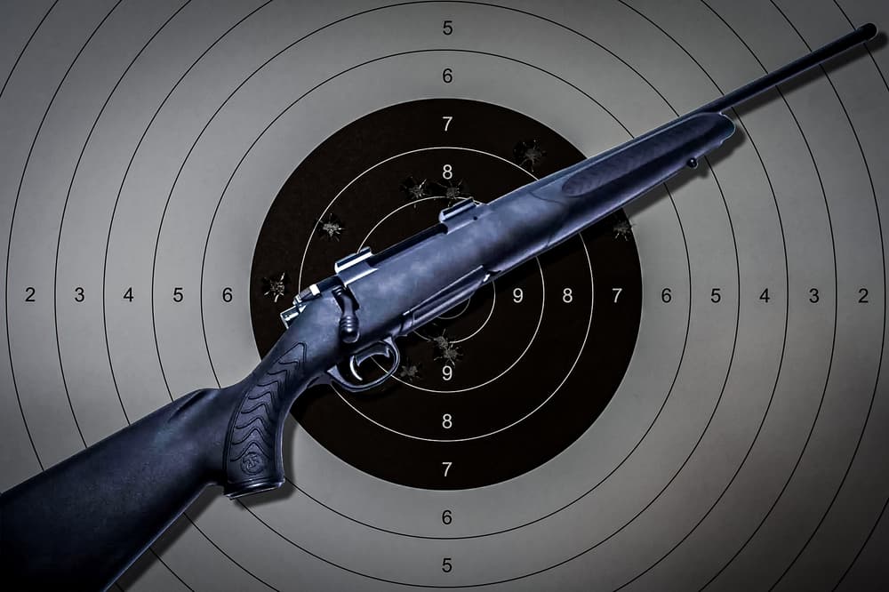 Thompson/Center Compass II in 6.5 CM: Bolt-Action Rifle Review