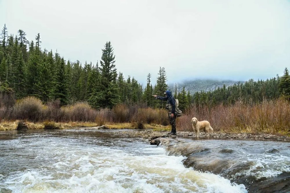 Time Flies at the Broadmoor’s Colorado Fly Fishing Camp