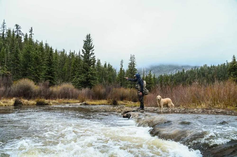 Time Flies at the Broadmoor’s Colorado Fly Fishing Camp