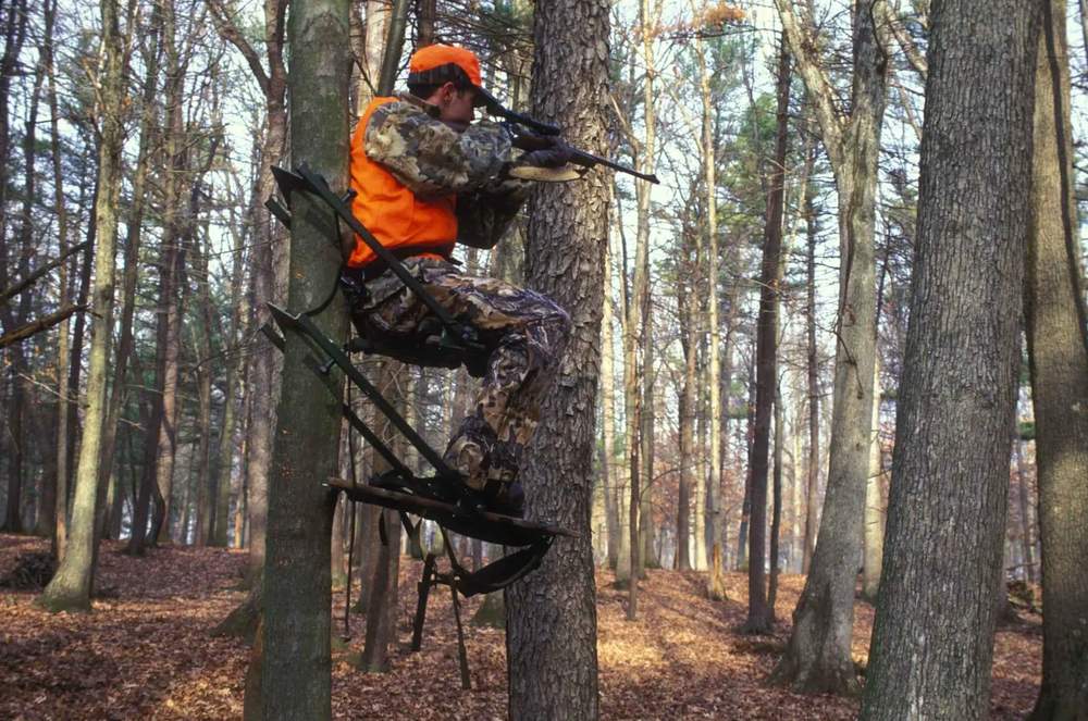 Days in the Deer Stand: Quality vs. Quantity