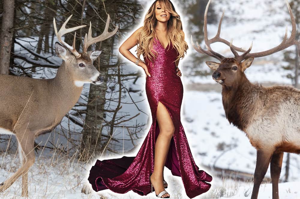 Deer Meat Recalls, PA Elk, MTN OPS Helps Whitetails & Christmas With Mariah Carey?