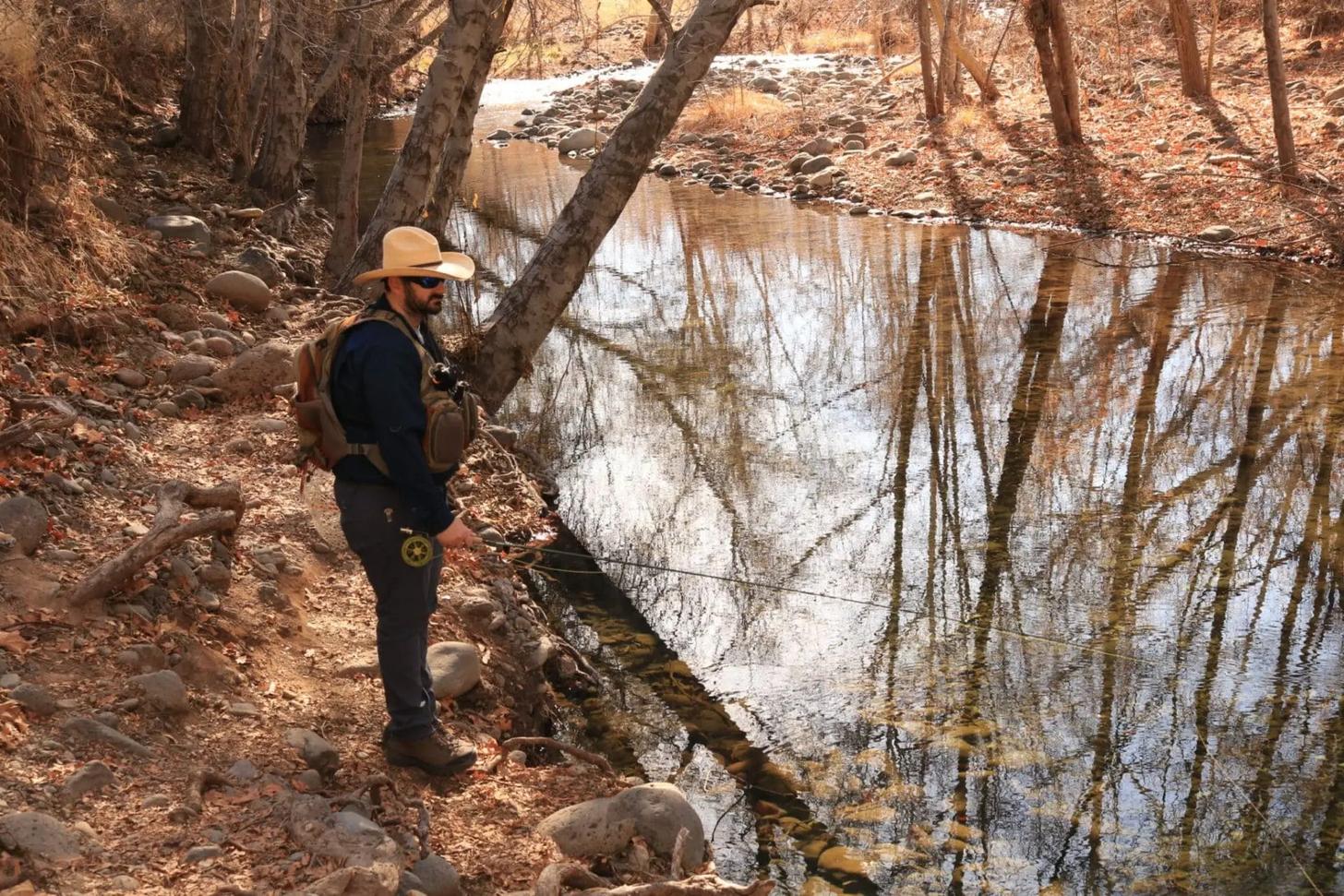 Hunting for Mental Health Solutions