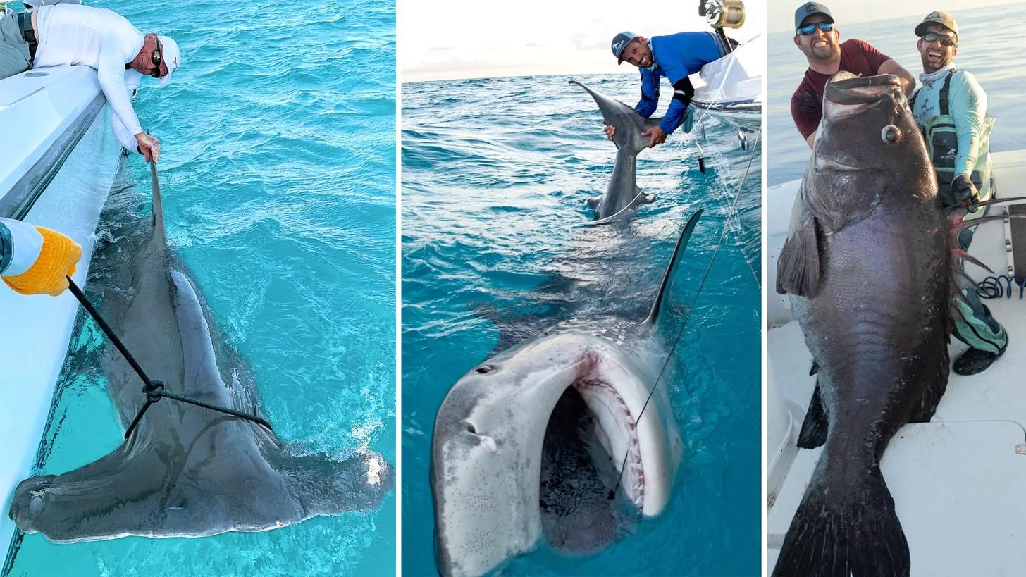 BlacktipH’s Josh Jorgensen Puts Things Into Perspective