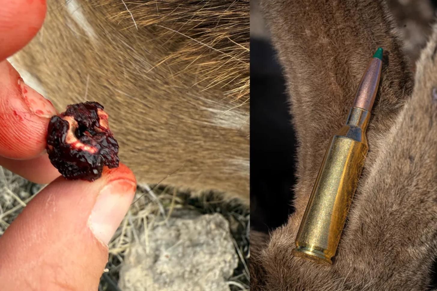 barnes harvest collection