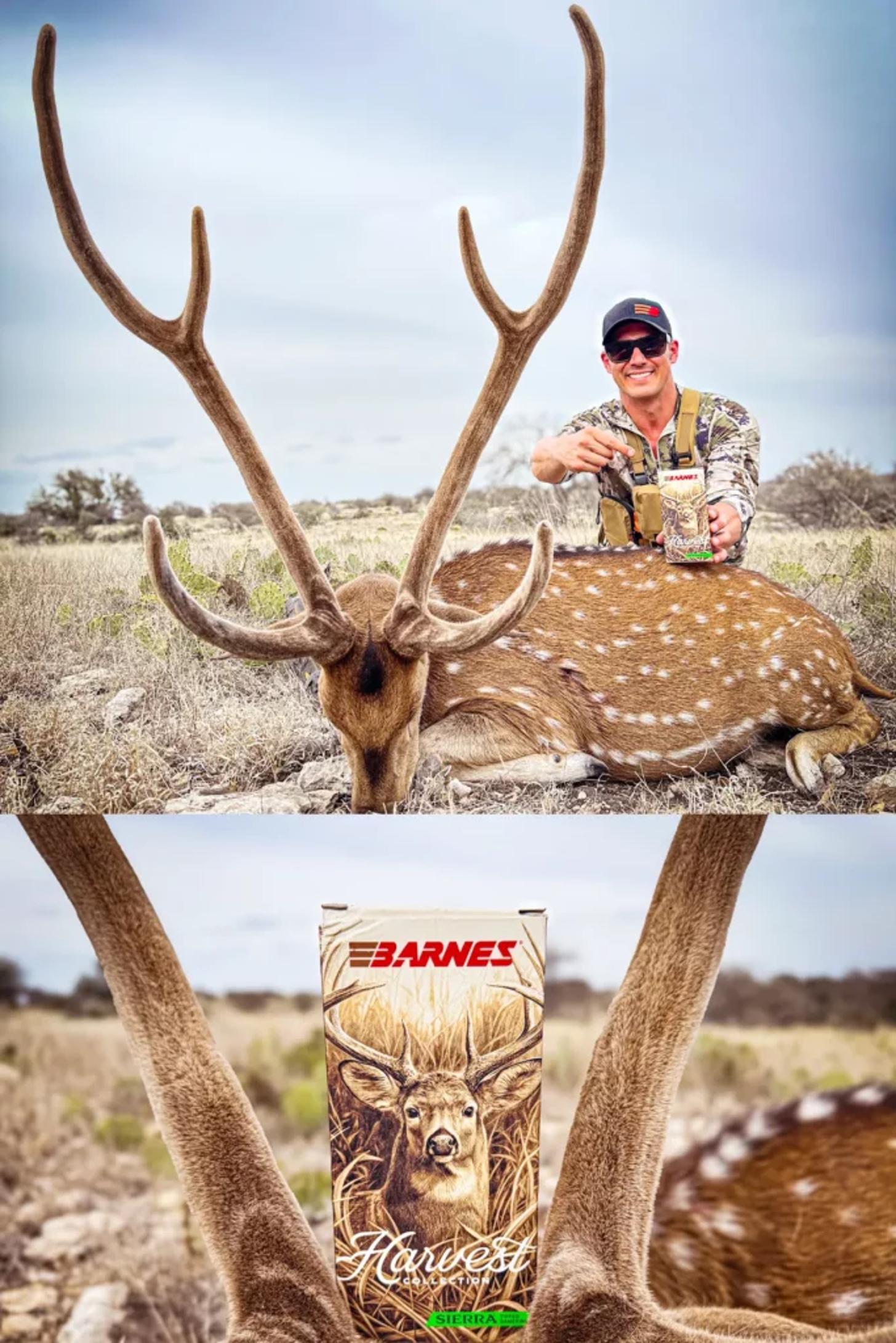 axis deer hunt with barnes harvest collection rifle ammo