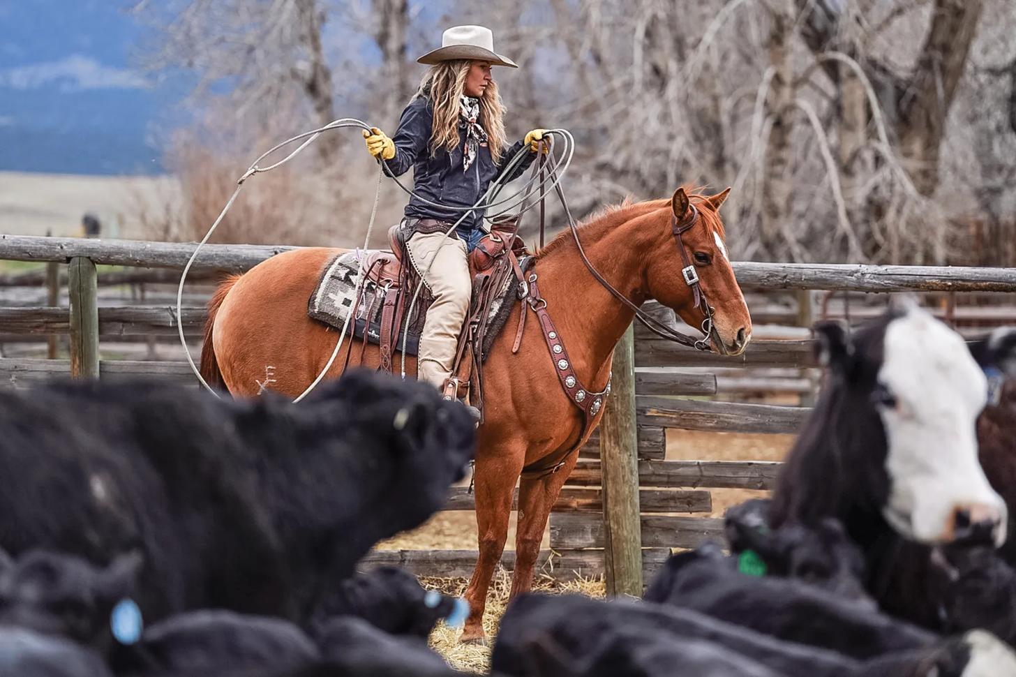 Amanda Caldwell working a lasso on horseback