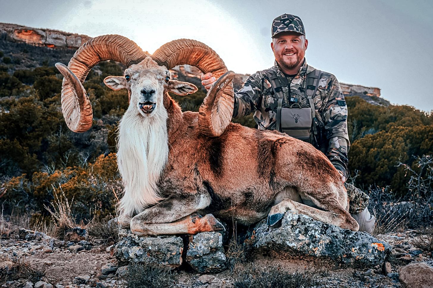 Did Cody Johnson Shoot an SCI World Record Ram in Texas?