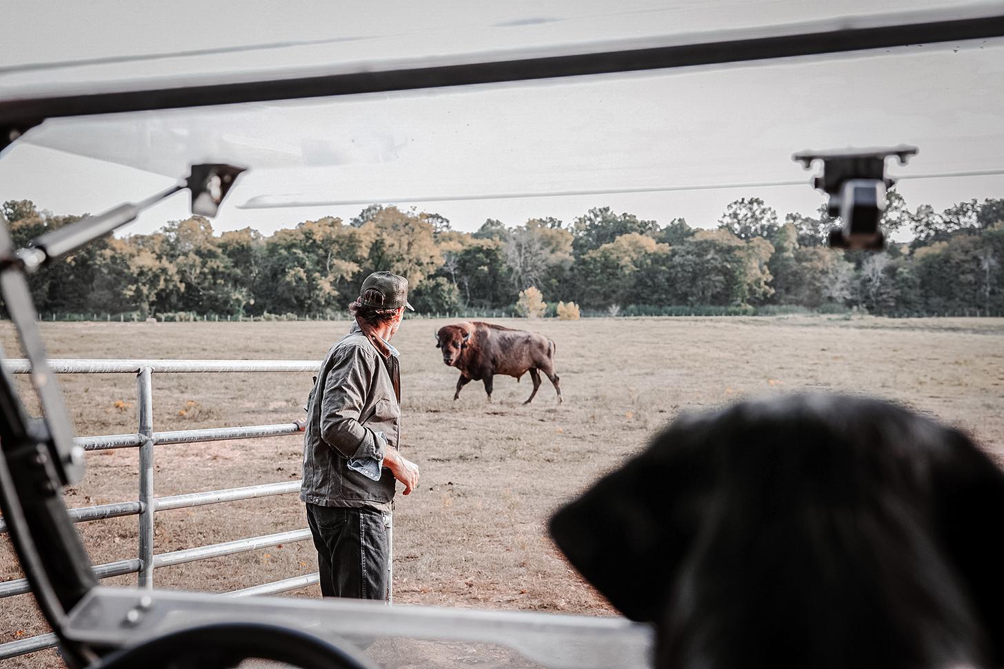 Chase Rice closing the gate on a bison