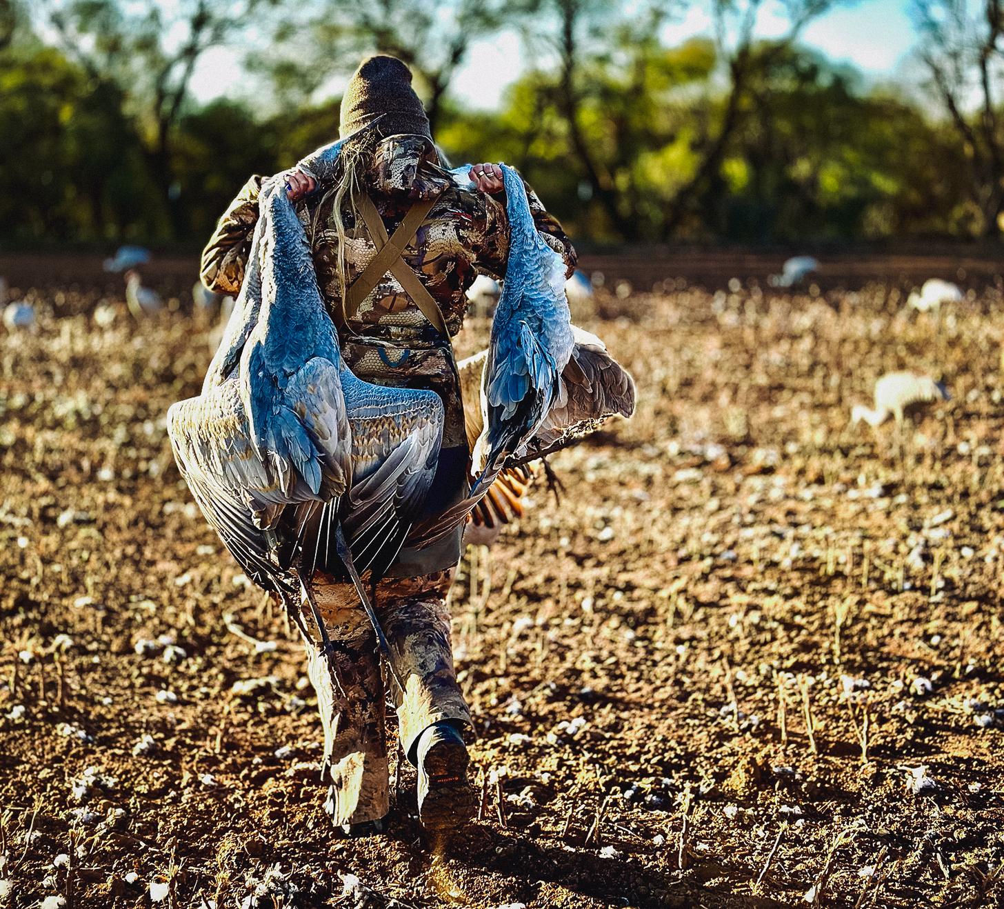 lauren brown carrying two turkeys in the field