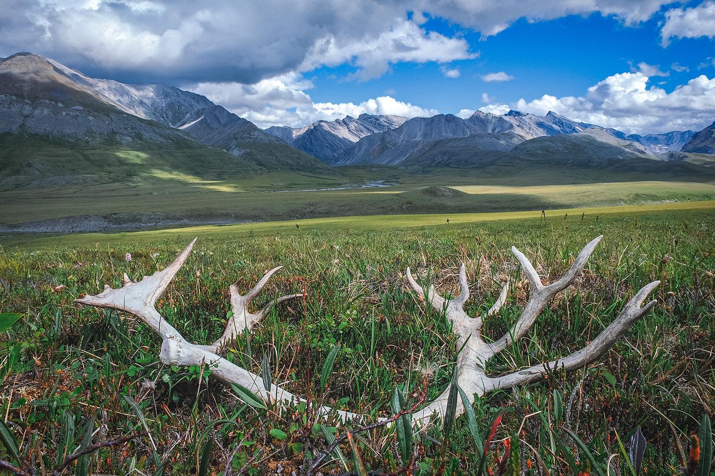 Ambler Road Project Fast-Tracked, Cuts Through Alaska’s Brooks Range