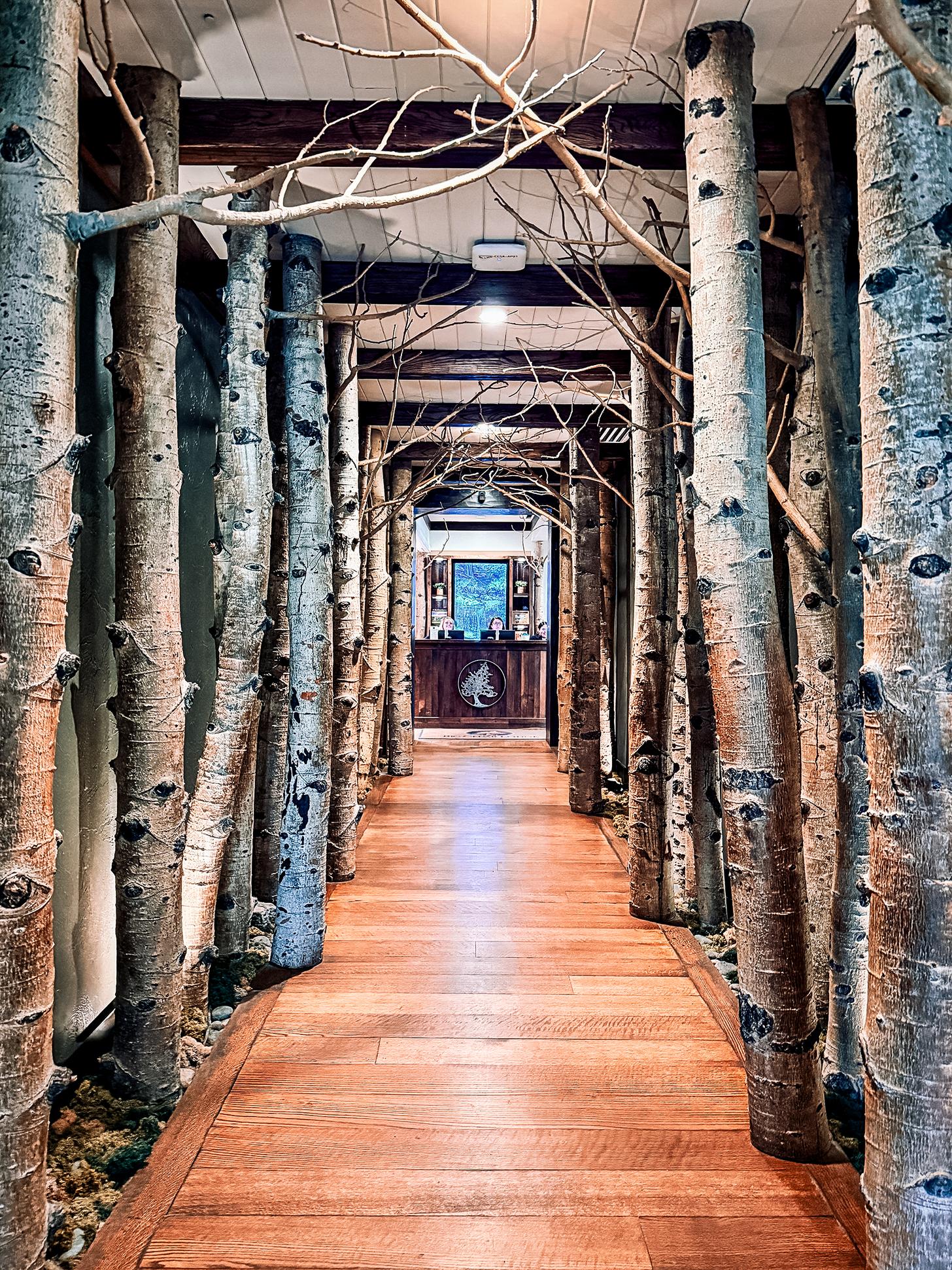 Big Cedar Lodge front desk