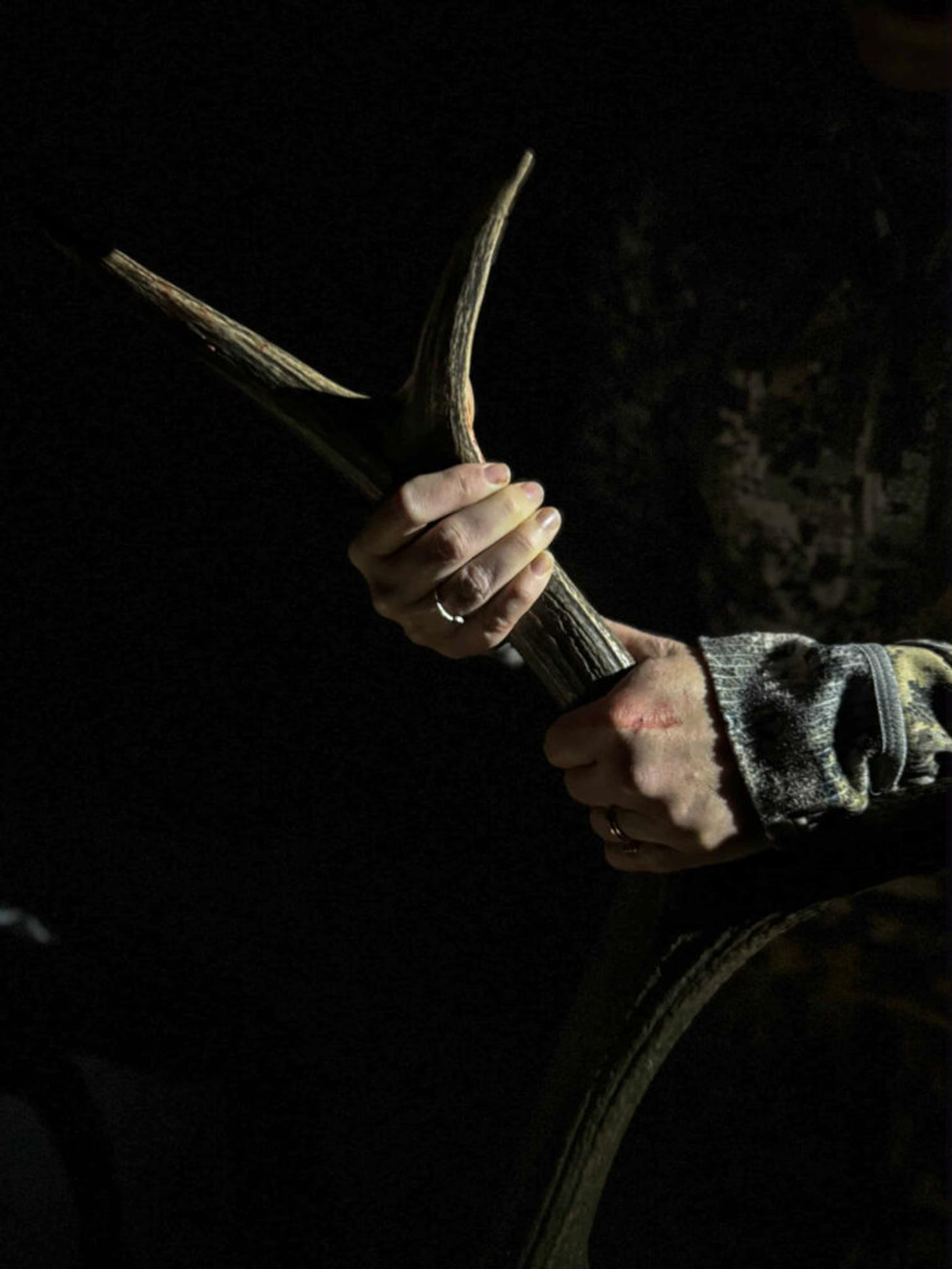 an antler in the night