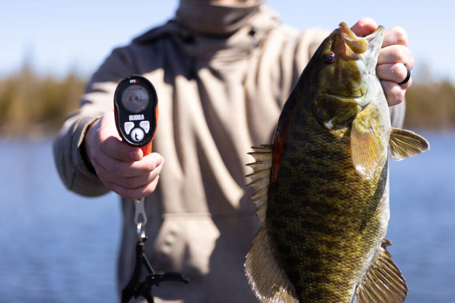 Best Bass Fishing Gear 2026 selection in best fishing tackle & accessories: BUBBA Smart Fish Scale Lite