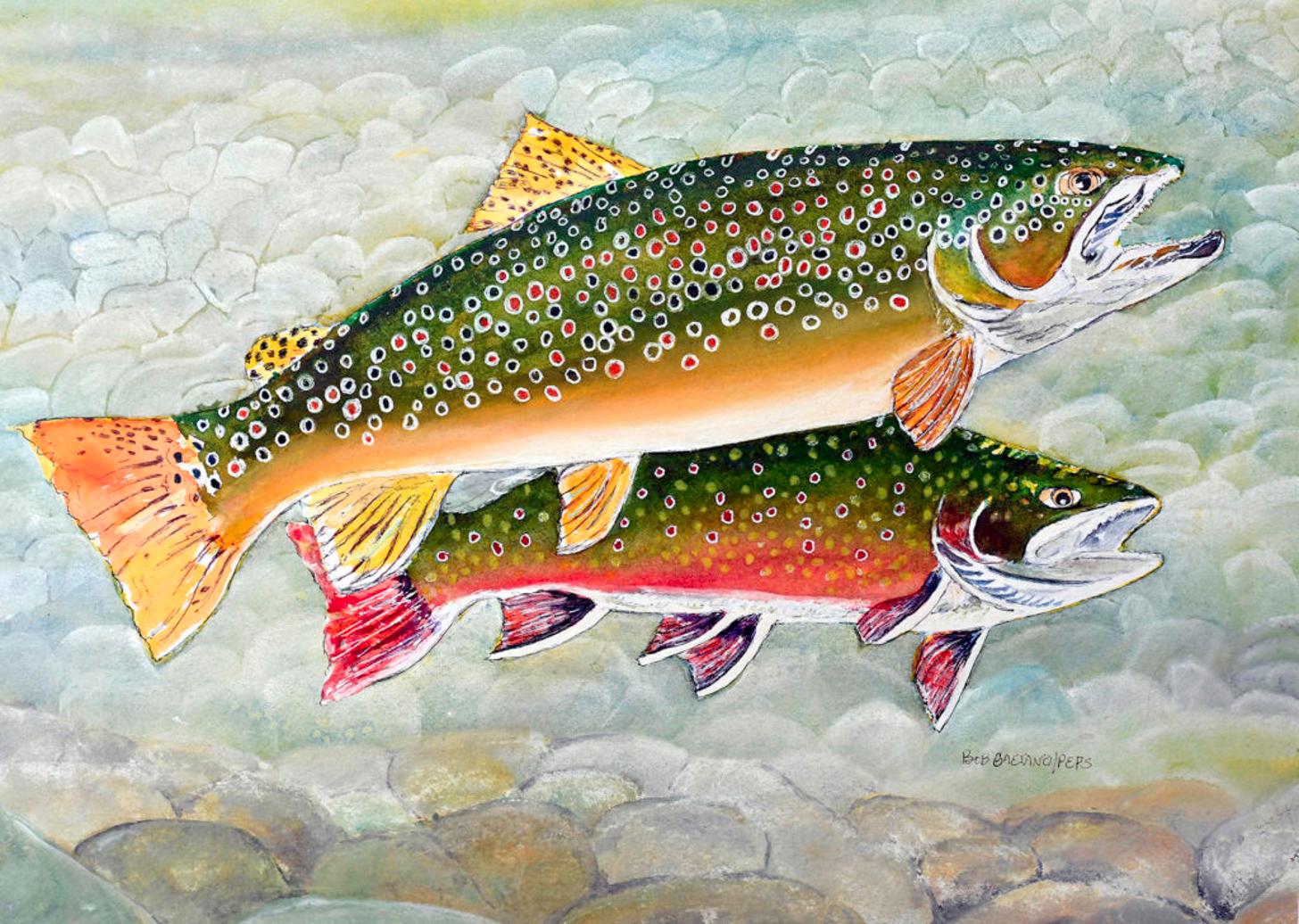trout art