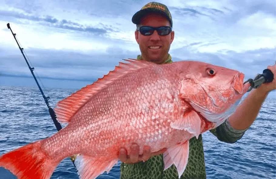 How The Modern Fish Act Could Affect You in 2019