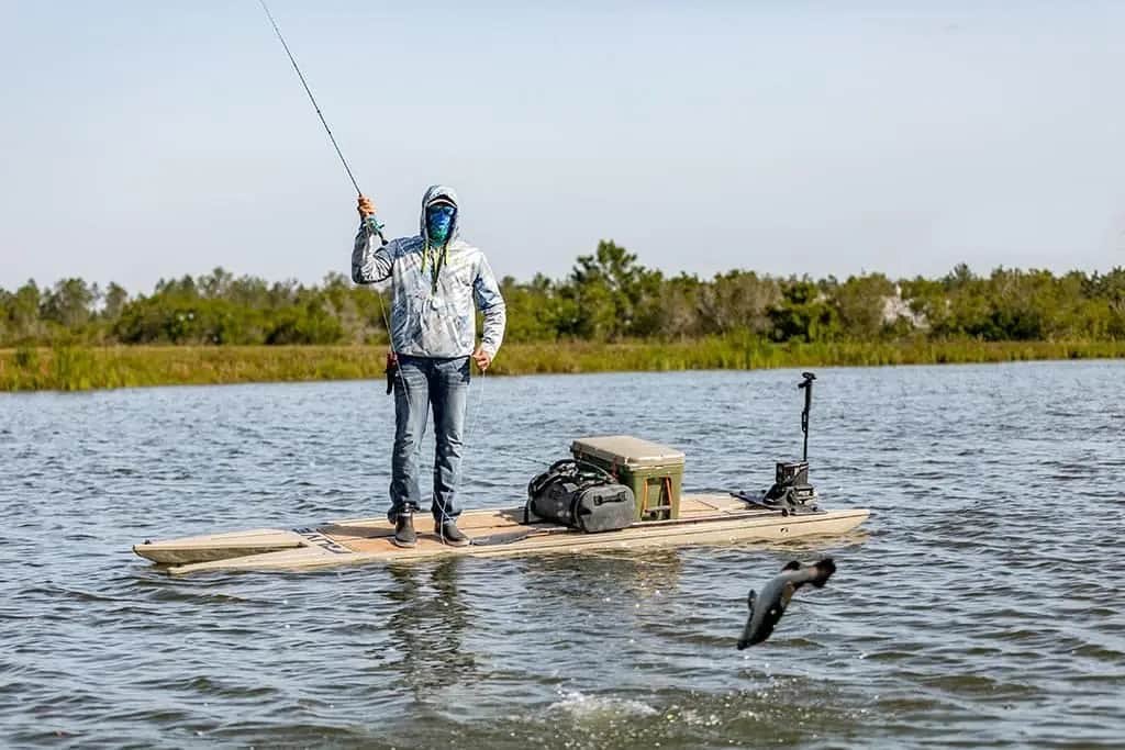 Barramundi in Florida