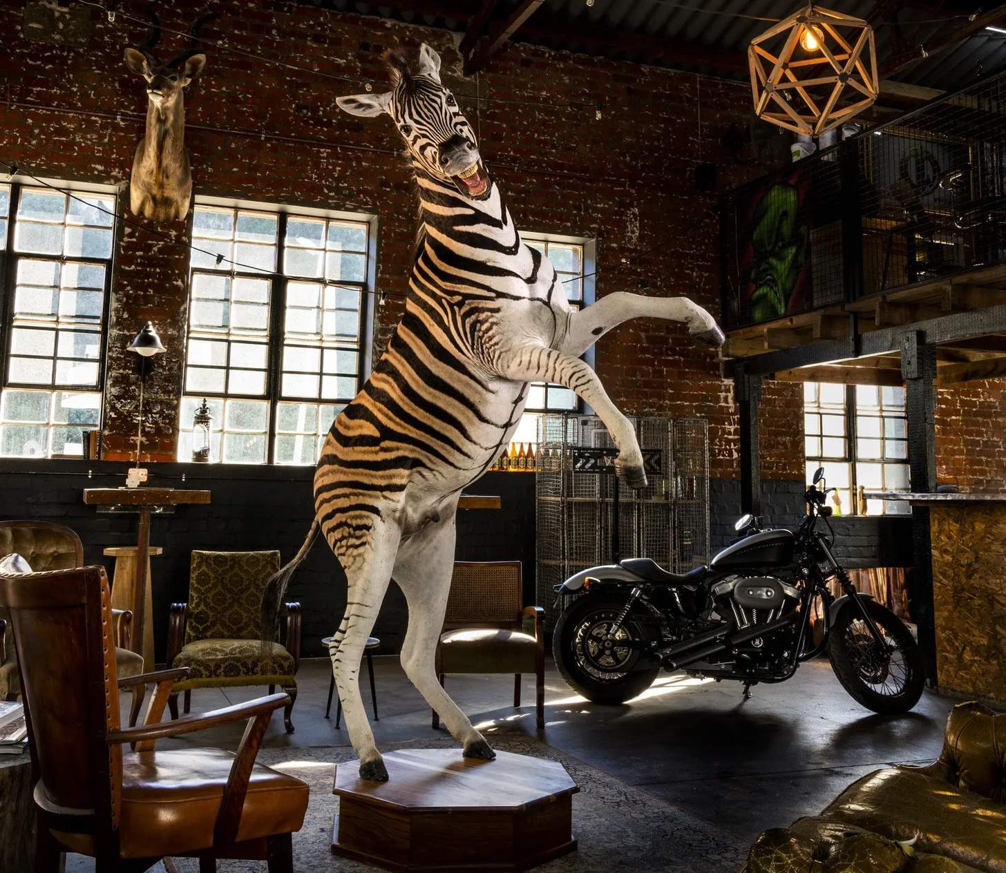 True to Life – Taxidermy