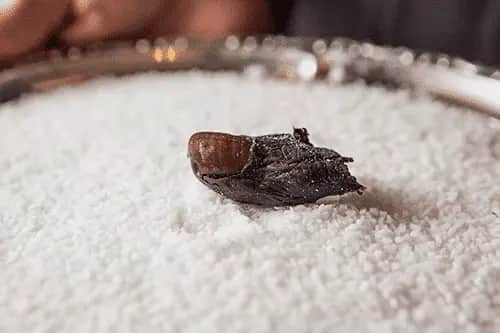 Discover the Story of Sourtoe Cocktail