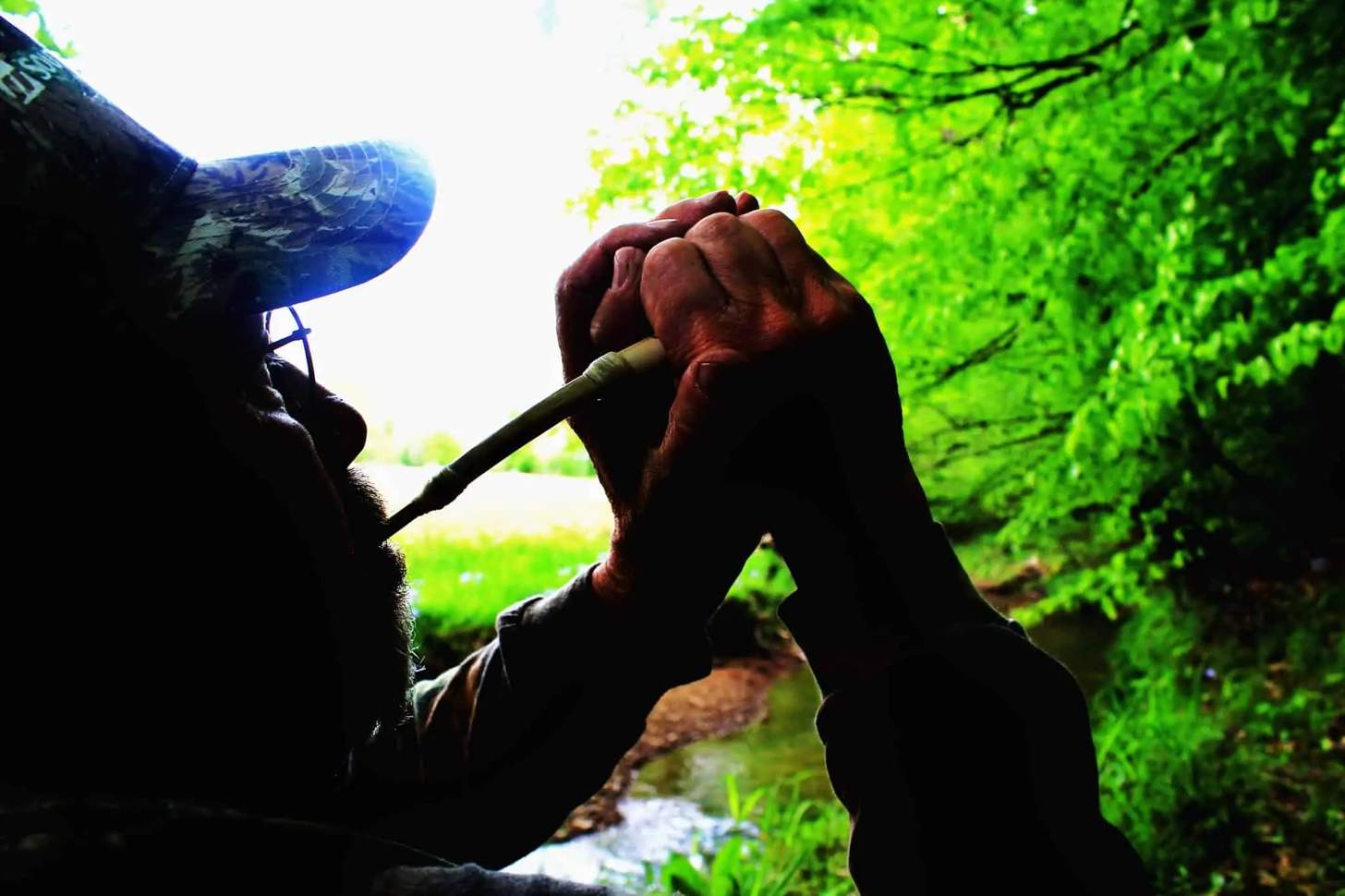 Different Turkey Call Types: Pros & Cons