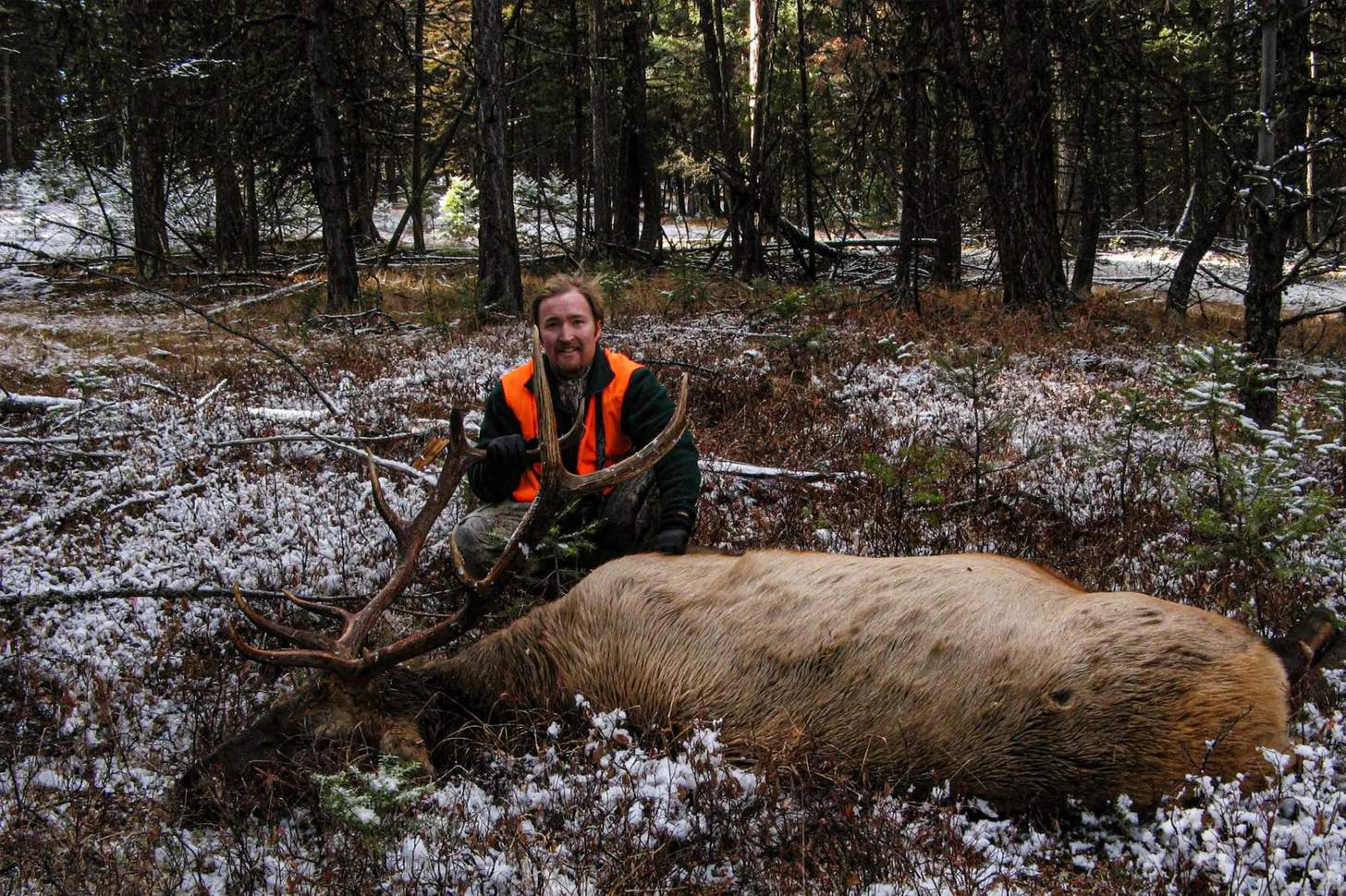 How To Apply for Hunting Tags Out West