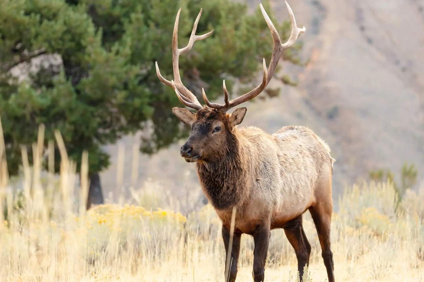 Hunting Gear On Sale: DECKED, Archery Gear, Sitka & More