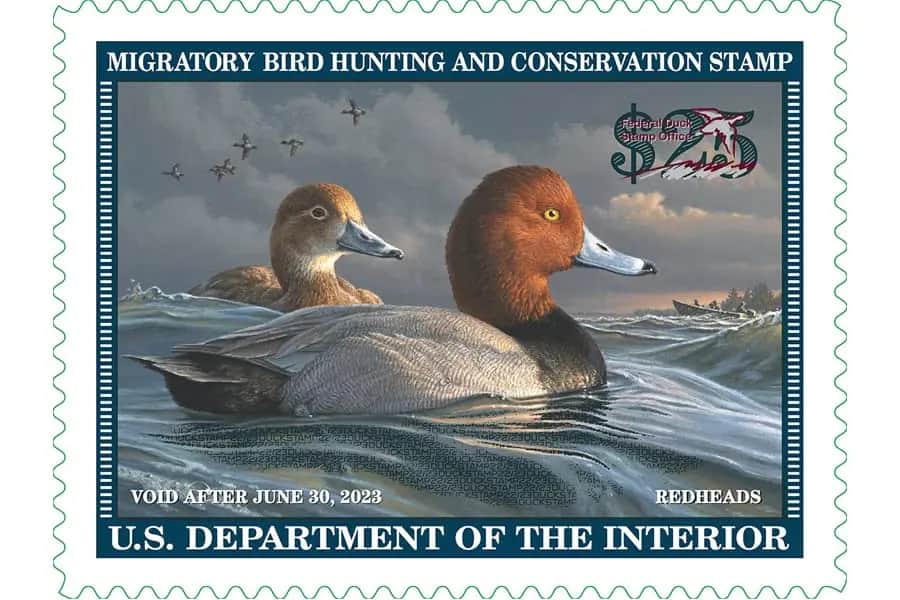 Federal Duck Stamp Will Have Electronic Option In 2024