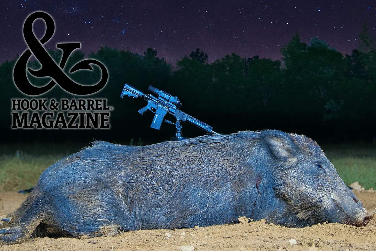 Best 300 Blackout Ammo for Hog Hunting