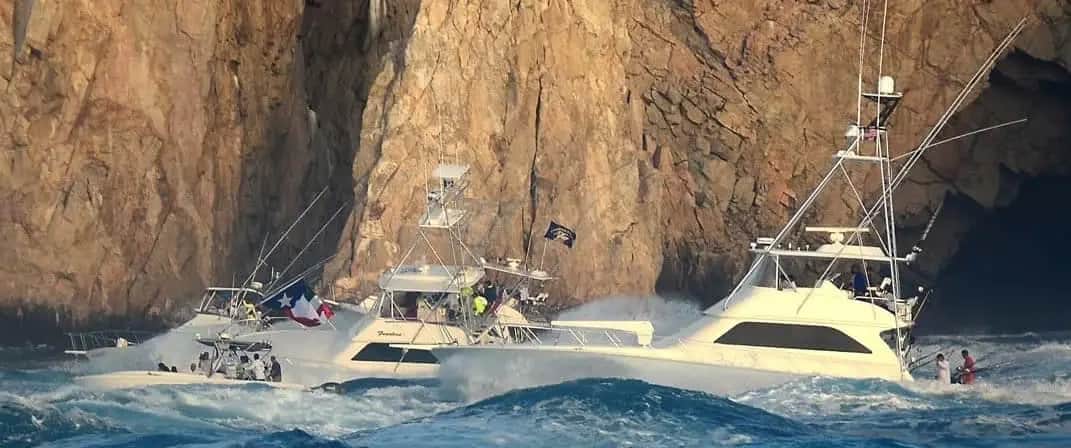 Big Money Billfish – The Bisbee’s Black & Blue