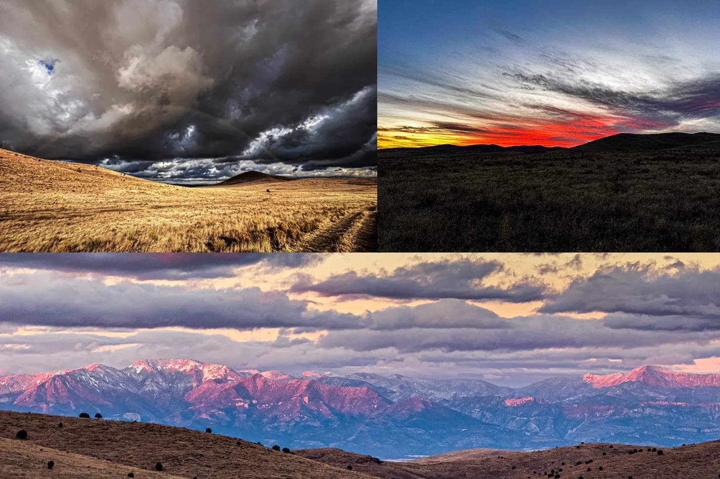 Scenics John Federal Backcountry New Mexico hunt for mule deer