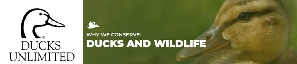 Senate Passes America’s Conservation Enhancement Reauthorization Act