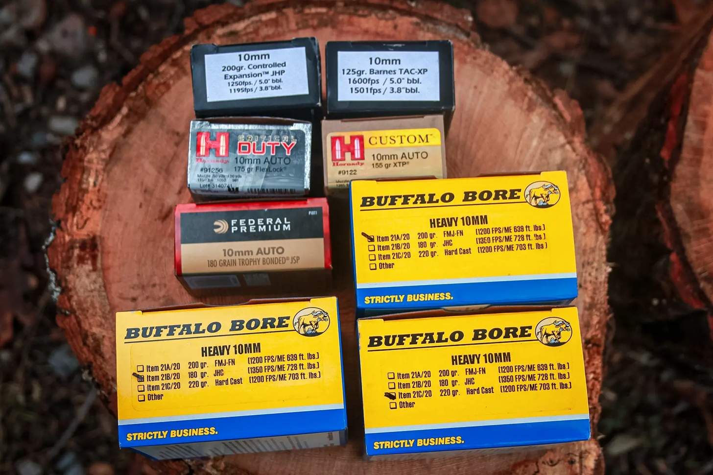 10mm hunting ammunition