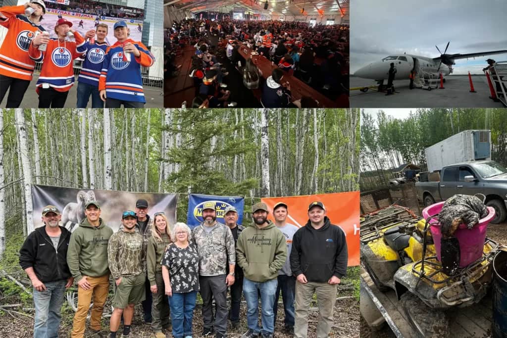 canadian black bear hunt