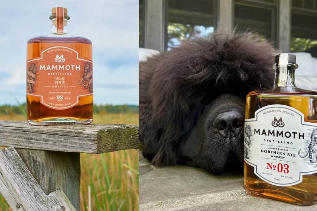 mammoth distilling in traverse city, michigan