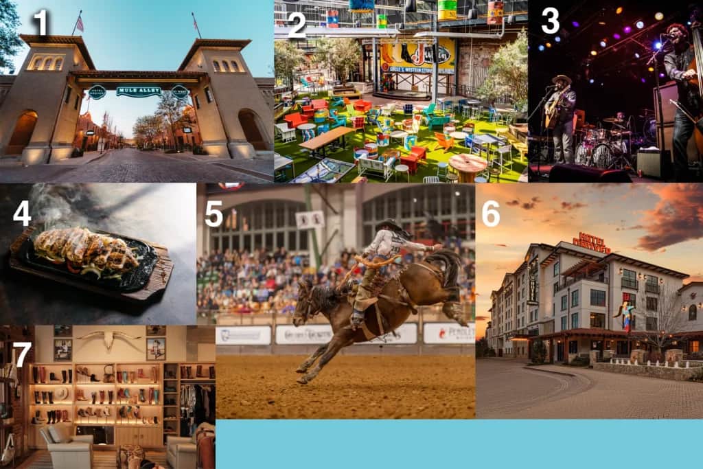 forth worth texas things to do