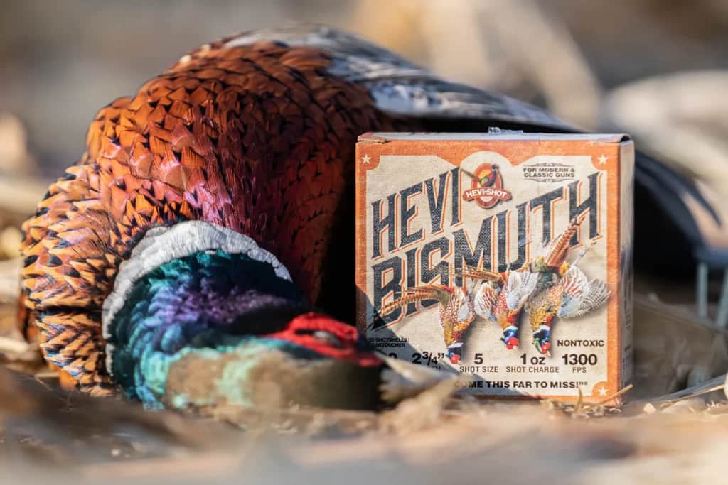 hevi bismuth upland with a pheasant