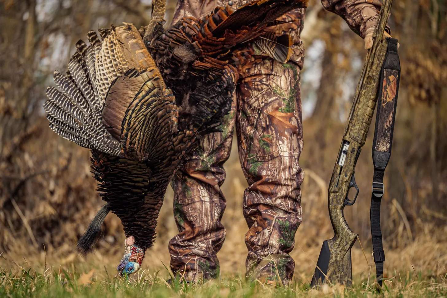 3 Perfect Turkey Shotguns and Ammo Pairings
