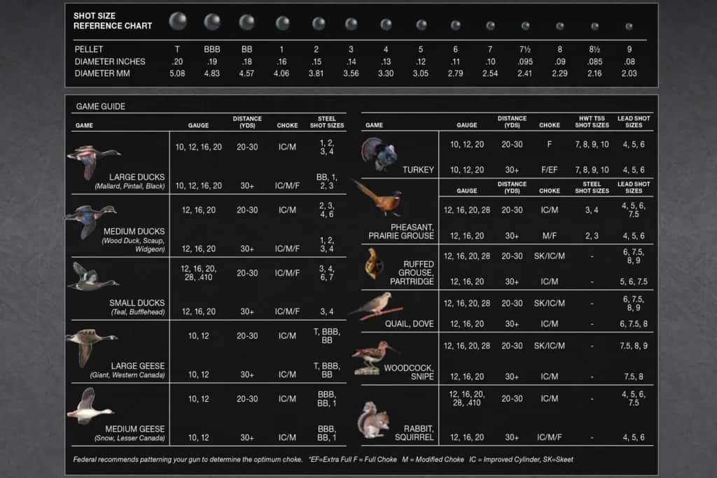 shot size reference chart
