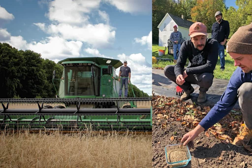 farming rosen rye in south manitou island, michigan