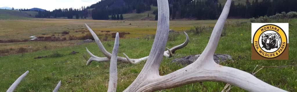 Montana Fish, Wildlife & Parks Makes Reminders to Fishermen, Shed Hunters & Bear Enthusiasts