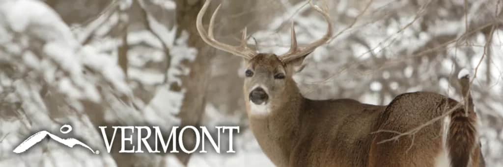Vermont Fish & Wildlife Board Requests Public Comments on Proposed Big Game Hunting Regulation Changes