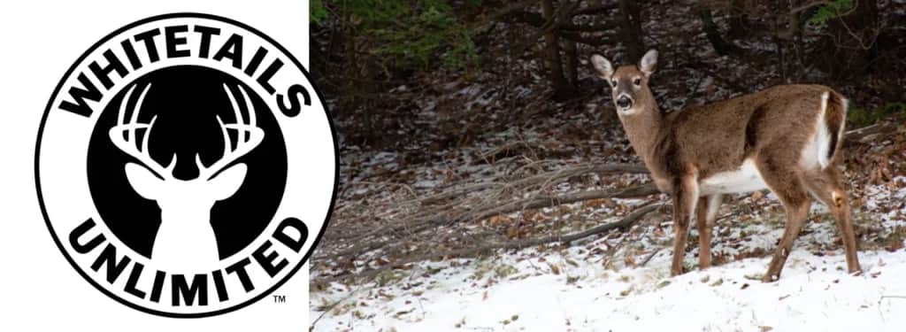 Whitetails Unlimited Awards Illinois $220,000 in Grants