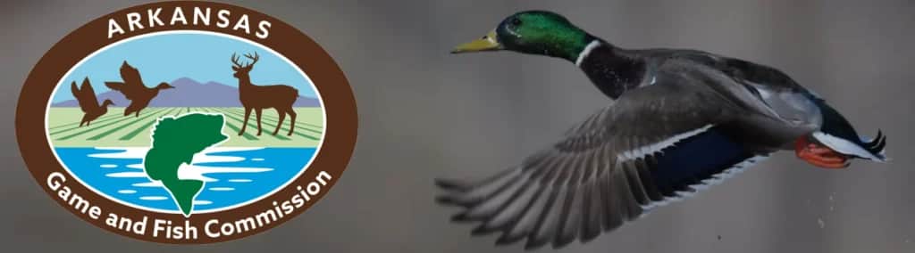 Arkansas Proposes Waterfowl Hunting Changes 