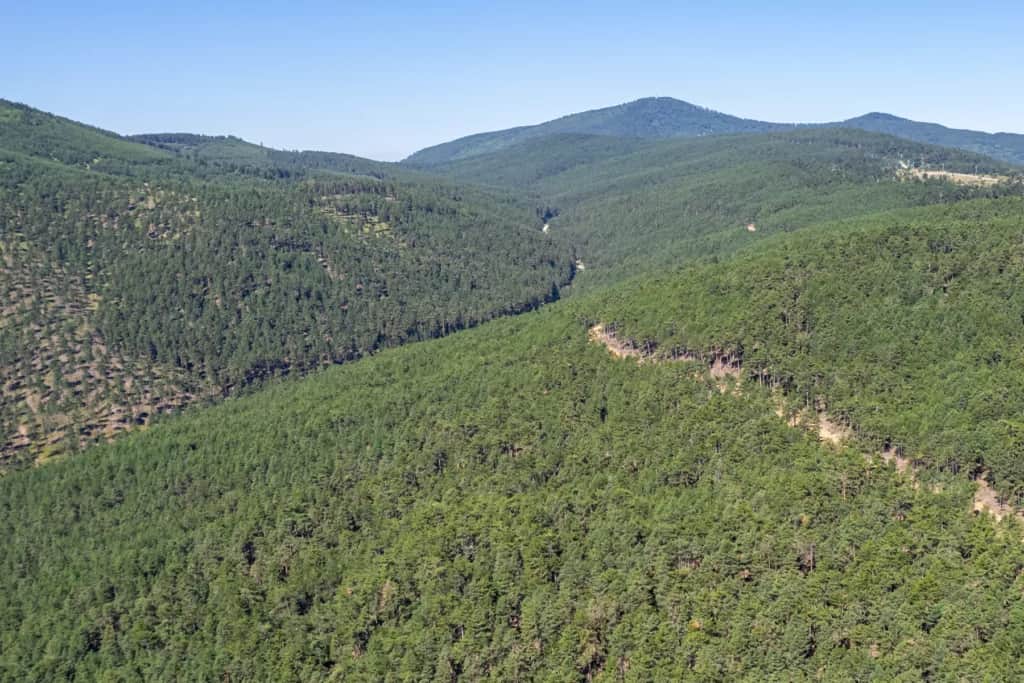 land management information