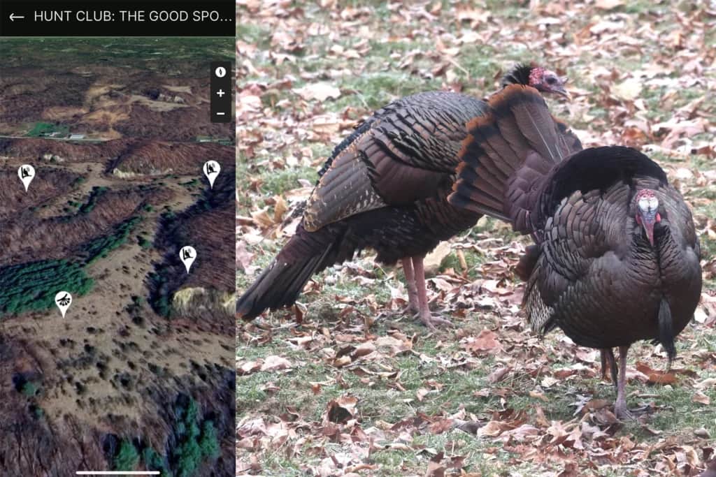 turkey hunting apps