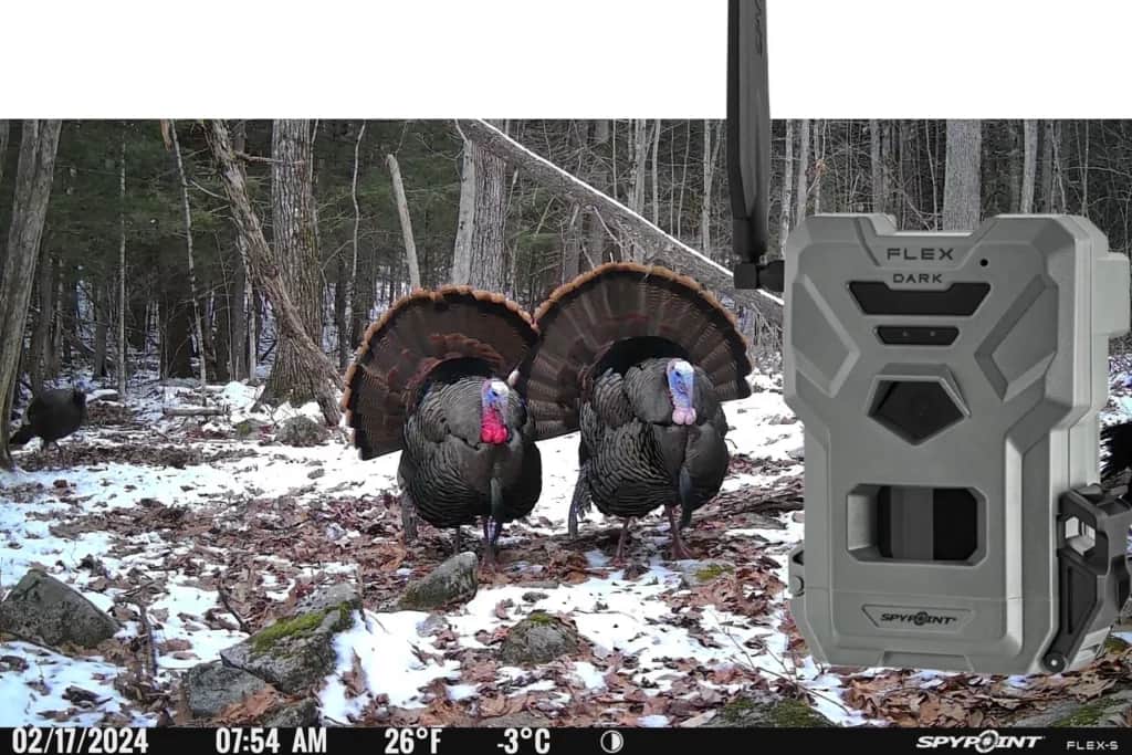 spy point FLEX-DARK and FLEX-S-DARK trail camera