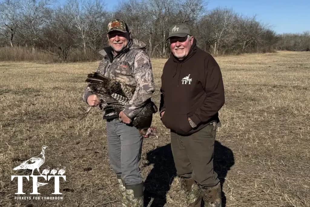 Turkeys for Tomorrow (TFT), LSU, and Tennessee Tech Launch Novel Turkey Research 