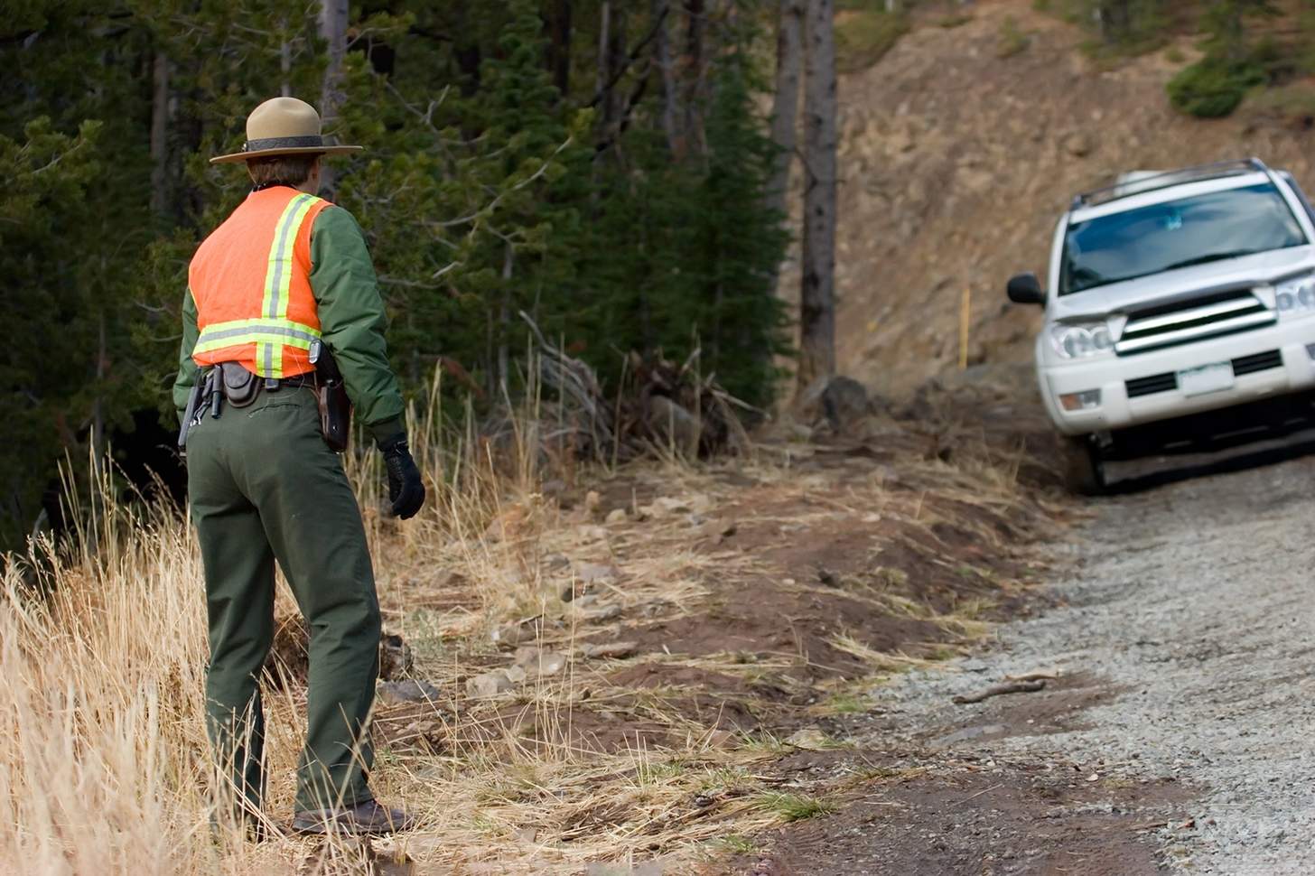 How Not To Get Arrested During Turkey Season